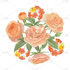 橙色玫瑰，花蕾和叶子在白色的背景。矢花集装饰鲜花为婚礼请柬，节日，贺卡和纺织时装设计。