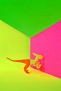DollarStore on Behance