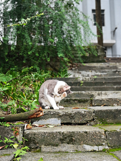 被线条捆住的人采集到喵