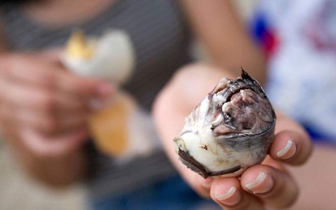 　一生必尝20种奇怪食物：菲律宾——鸭仔...