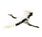 鹤0003