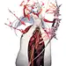 #死亡爱丽丝# #SINoALICE# 白雪公主/半梦魇 SD小人&amp;透明头像&amp;职业头像&amp;上半身局部大图&amp; 静态立绘 ​​​​
