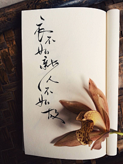 特立独行的猫OTO采集到文摘