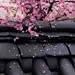 任一曲江南的柔情婉约，在我怀间，随风，流离你窗前，风铃轻响，只为，遇见。