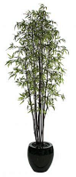 Black Bamboo Palm Tree Artificial 9'