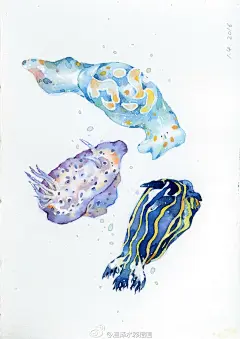 温泽水彩插画的照片 - 微相册