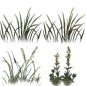 yinxingcun_cao02_alpha