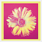 Andy Warhol | Art on Fab 颜色