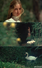 《悬崖下的野餐  Picnic at Hanging Rock》 ​​​​