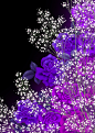 紫色的日本色彩花纹背景