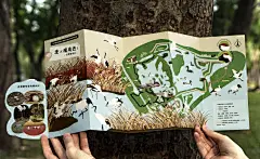 世界候鸟日-观候鸟折页及海报-古田路9号-品牌创意/版权保护平台