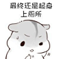 qq仓鼠表情包图片_360图片