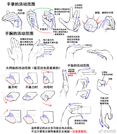 缘因·采集到人体：手部