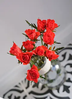 玫瑰花高清摄影素材