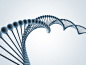 DNA Model
