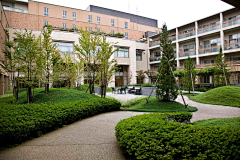 木魅儿采集到医院