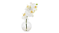 Mini Faux Orchid in Water - LuxDeco.com : Buy Mini Faux Orchid in Water - Online at LuxDeco. Discover luxury collections from the world's leading homeware brands. Free UK Delivery.