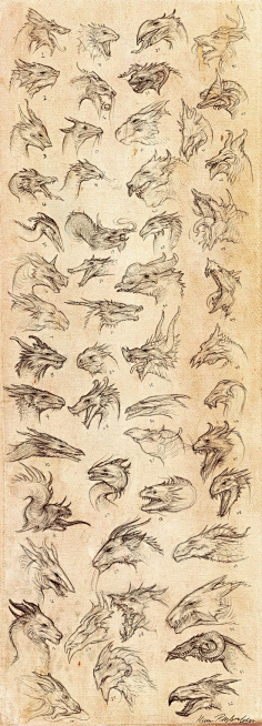 西方龙原画来自cgbook.