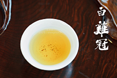Rabbif_采集到茶
