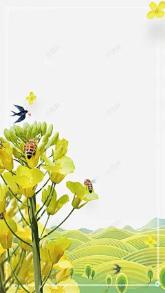 春季唯美油菜花海报边框 设计图片 免费下载 页面网页 平面电商 创意素材