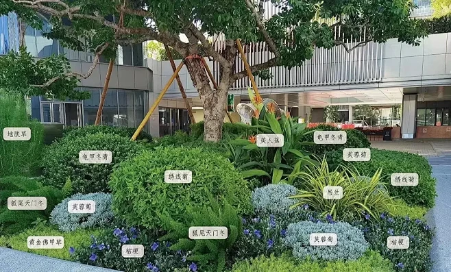 常绿花境植物配置