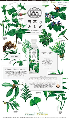 northernrock采集到版面