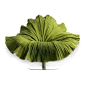 Bloom Lounge Chair By Kenneth Cobonpue | Vertigo Home