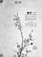 【kindle屏保】石涛的梅兰竹菊
