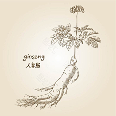 怪su叔采集到人