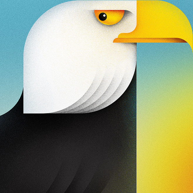 Animals on Behance