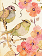 Collen Parker大自然的鸟语花香绘画艺术