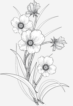 VIC周道采集到插画