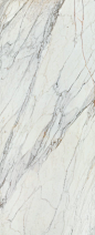 Calacatta Gold (stone-1):