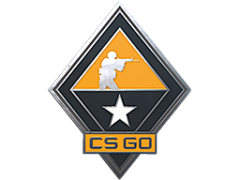 Sarah′采集到CSGO/枪战