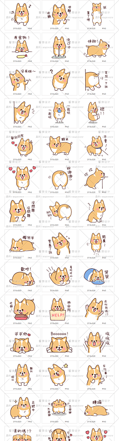 K·one采集到动物
