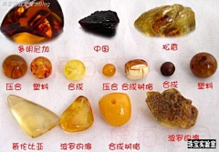 郭伟东红木采集到东东看天下