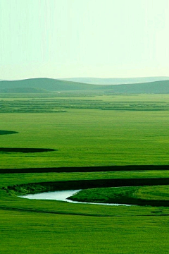 胡萝卜素采集到风景