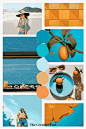 #服装设计#

灵感课堂 | 动态灵感板配色方案图鉴——莫兰迪色系，橙色系的调色板

#罗德岛设计学院# #RISD# ​​​​