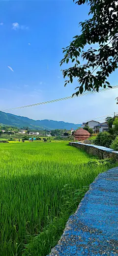 原图壁纸：春天的自然风景-今日头条