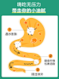 碧生源膳食纤维粉菊粉非清肠排宿便纤维素粉益生菌代餐粉官方正品-tmall.com天猫