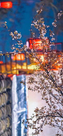Y4ZSa3ZT采集到油画棒素材