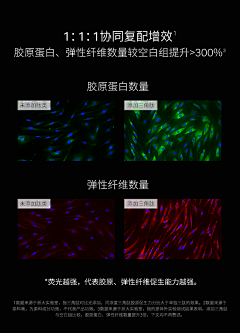 木人青采集到素材