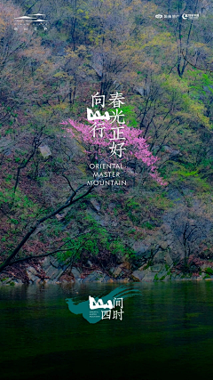 哎哟大白采集到平面