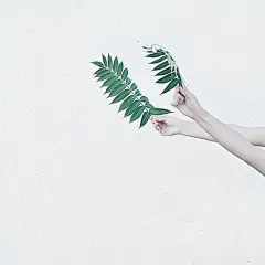 采集图片