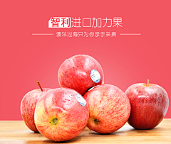 yy榕树采集到榕树~酷~栈