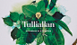 Tulliallan品牌形象视觉设计 | Cassette Agen 设计圈 展示 设计时代网-Powered by thinkdo3