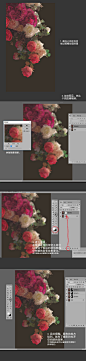 还是个很基础的小方法，怎样让一坨写生的花最终效果显得更像摄影。 ​​​​