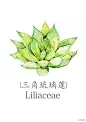 朋友最近搬家，送给阿糖几盆多肉，虽然好看，但真的分不清各自的种类，直到看到@alapine 的这套手绘图谱，里面有你家的多肉吗？