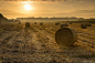 morning straw by Norbert Liesz on 500px