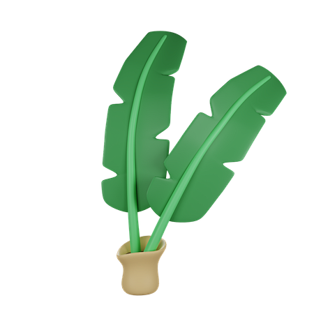 Banana Leaf 3D Illus...